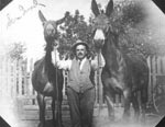 Link to Image Titled: Sam Israel with Two Mules