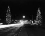 Link to Image Titled: Christmas Trees on Kellogg Street