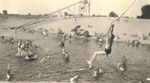 Link to Image Titled: Diving tower and slide at Sandy Beach