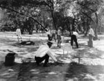 Link to Image Titled: Telephone Company Picnic