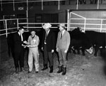 Link to Image Titled: Wichita Beef Show at Wichita Union Stockyards
