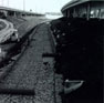 Link to Image Titled: Construction of stone-lined Chisholm Creek channel